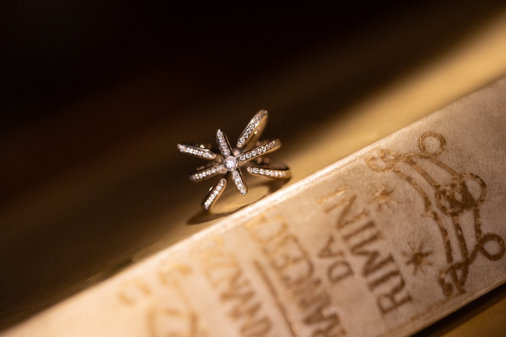 Linea Lavs Vitae — anello Palmerio