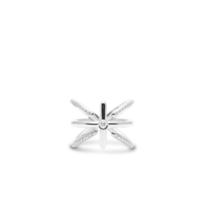 Anello Test 1