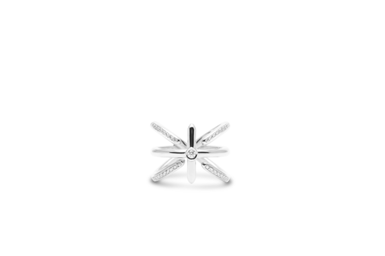 Anello Test 1