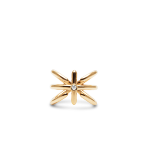 Anello Test 3