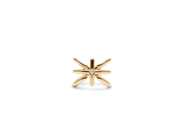 Anello Test 3