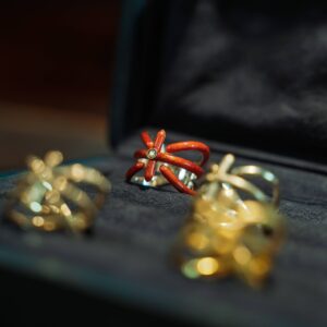 Anello Test 2