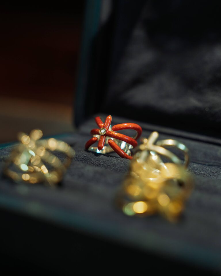 Anello Test 2